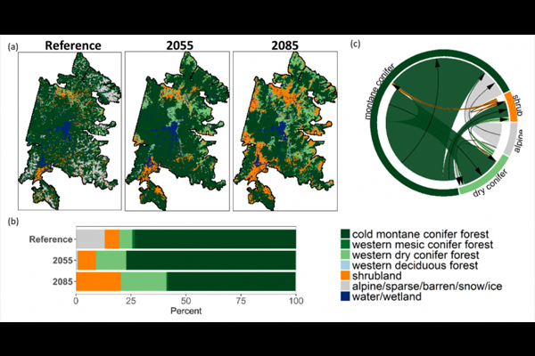 Potential changes in vegetation distribution in Yellowstone and Grand Teton NP, adjacent Forest Service wilderness areas: (a) the baseline period and years 2055 and 2085, (b) vegetation composition for each time period, (c) projected shifts