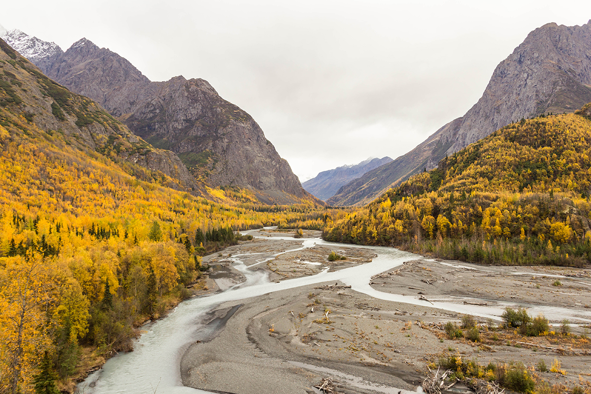 Fall colors in Wrangle-St Elias National Park